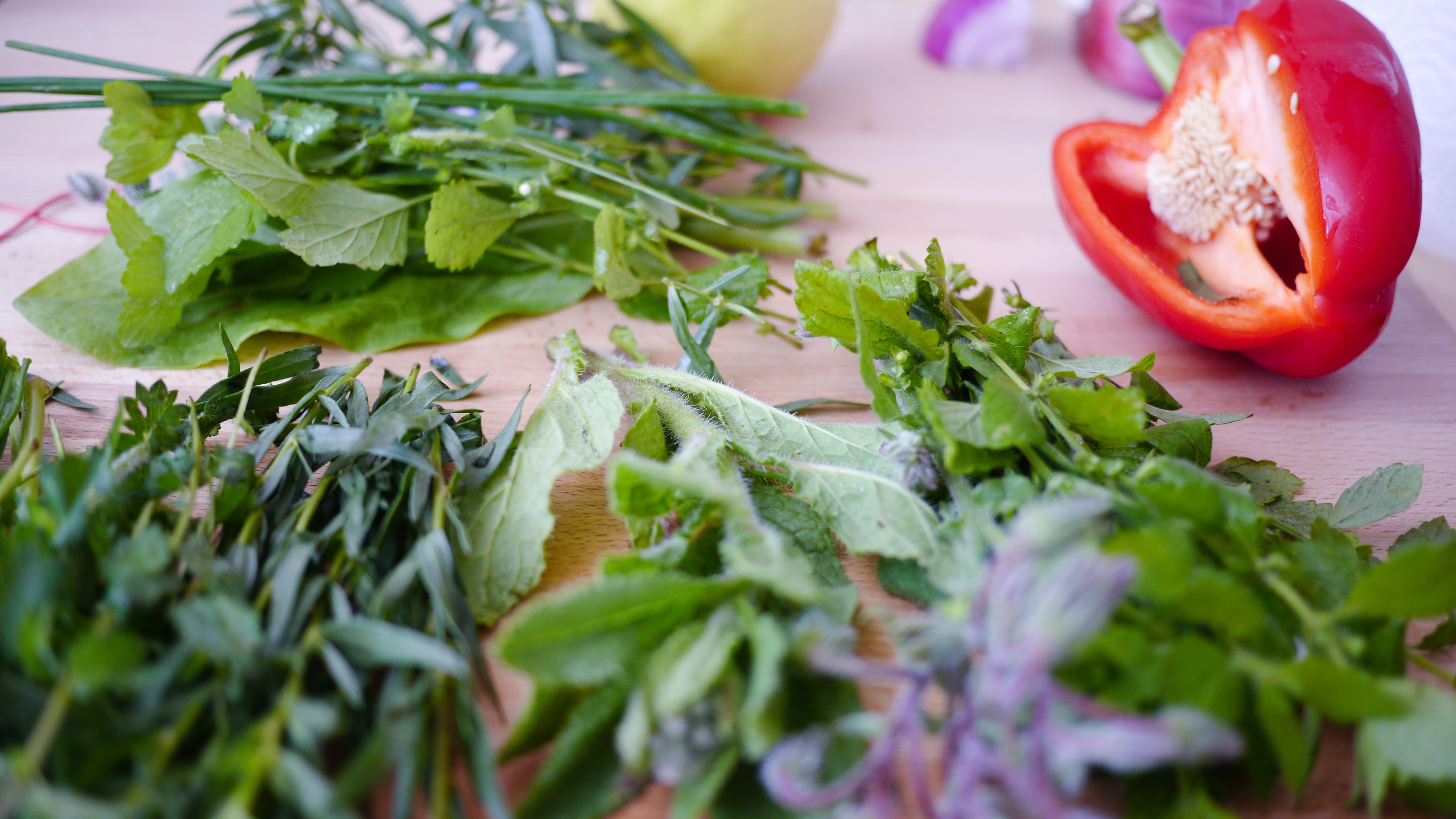 Cilantro