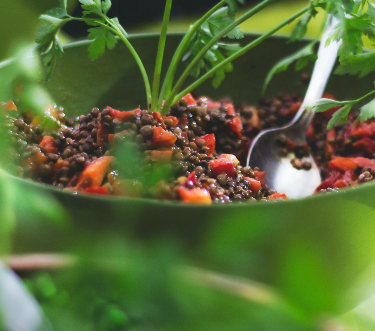 Lentil Salad